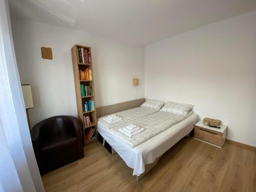 a bedroom with a bed and a book shelf at Mi casa su casa in Lăzarea