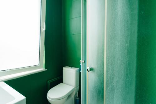 イスタンブールにあるハッシュ ホステル ラウンジの緑の壁のバスルーム(トイレ付)