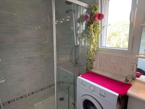 une machine à laver dans une salle de bain avec douche dans l'établissement Appartement 2 pièces 5 couchages ARGELES SUR MER AR630-005, à Argelès-sur-Mer