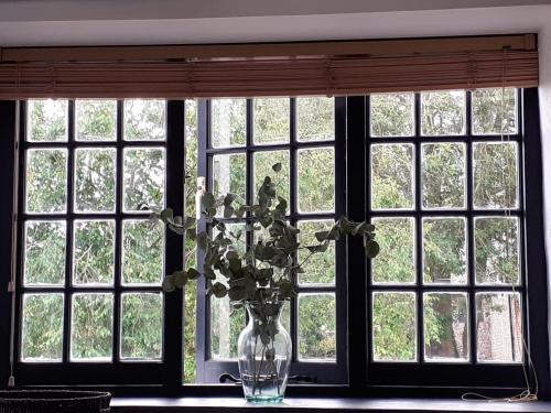 a vase with flowers in front of a window at The Studio, Arundel in Arundel