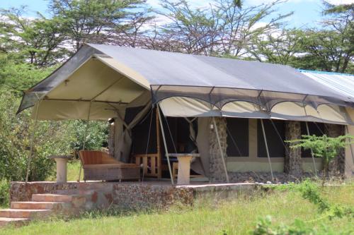a tent in a field with a chair in it at Oseki Maasai Mara Camp in Narok