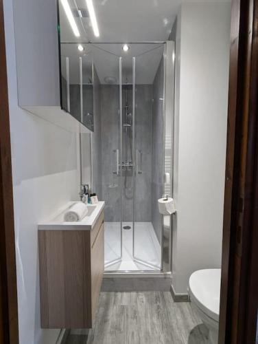 une salle de bain avec une douche, un lavabo et des toilettes dans l'établissement Appartement Ruby, à La Bresse
