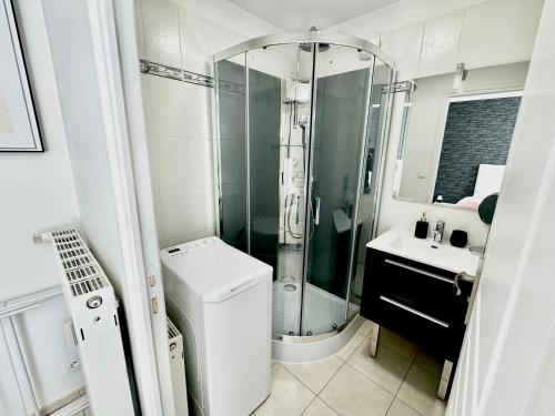 une salle de bain avec une douche, des toilettes et un lavabo dans l'établissement Le Cubry : Appart hyper-centre avec une place de parking, à Épernay