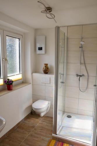 a bathroom with a toilet and a glass shower at Wohnung mit Wohlfühlcharakter in Idar-Oberstein