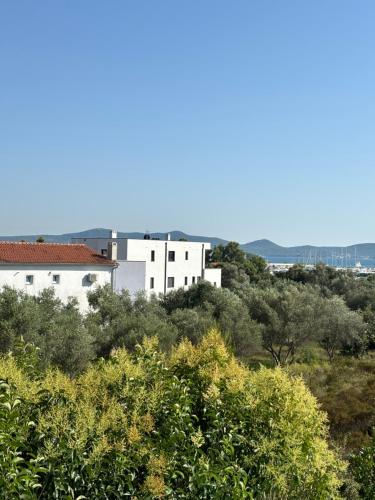 een wit gebouw op een heuvel met bomen bij Apartments N&M in Sukošan