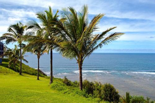 a group of palm trees on a hill next to the ocean at Sealodge C7 in Princeville