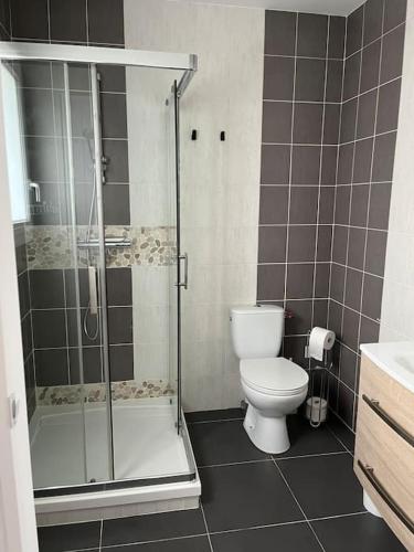 une salle de bain avec douche et toilettes dans l'établissement La maison de l amour avec piscine privée, à Albias