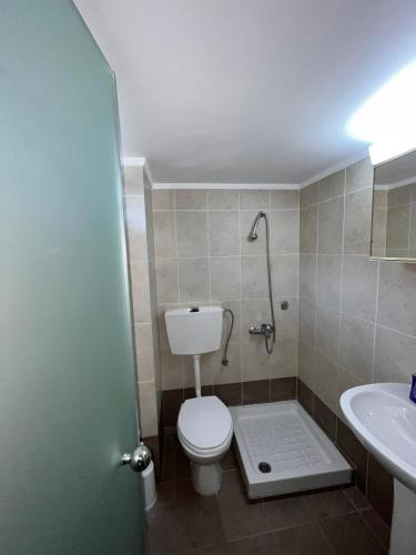 a bathroom with a toilet and a sink at Eirini Apts On the beach in Psari Forada