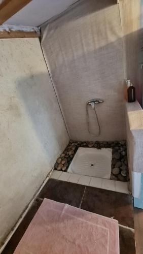 Cette chambre comprend une petite douche et des toilettes. dans l'établissement Chalet chez l'habitant, à Barbentane