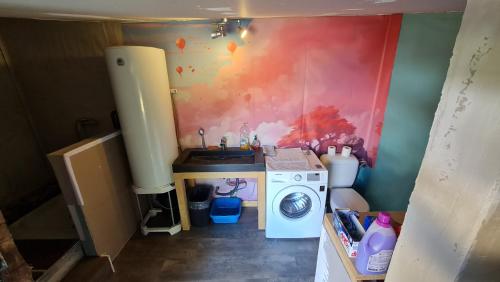 - une buanderie avec un évier et un lave-linge dans l'établissement Chalet chez l'habitant, à Barbentane