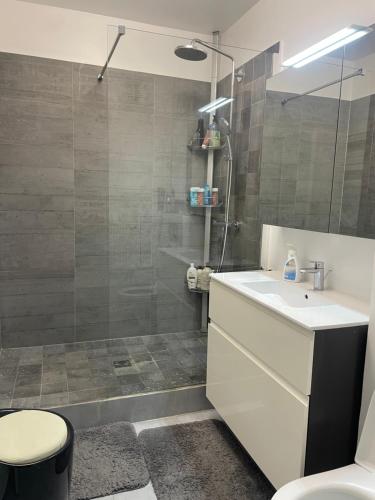 une salle de bain avec un lavabo blanc et une douche dans l'établissement Trocadéro studio, à Paris