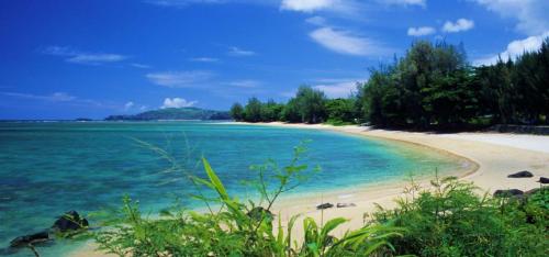 a beach with blue water and trees on it at Kamahana 24 in Princeville