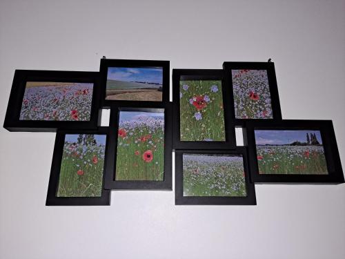 a group of framed pictures of a field of flowers at Les Fleurs de Lin - logement neuf entre Etretat et Veules les Roses in Ouainville