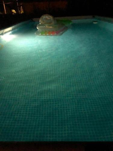a pool of water with a frisbee in it at CasaGiarelli in Monti di Licciana Nardi