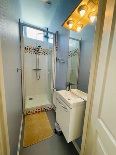 une salle de bain avec une douche, des toilettes et un lavabo dans l'établissement Le Duplex - Hyper Centre-Ville - 6 voyageurs, au Mans