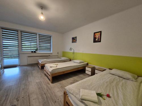 a room with two beds and a green wall at Pokoje Bema 14 in Ciechocinek
