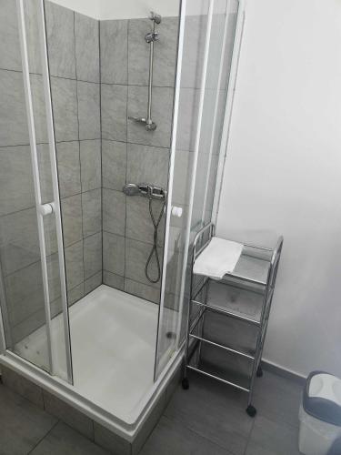 a shower stall with a ladder in a bathroom at Monteurwohnungen Lerbachtal in Osterode