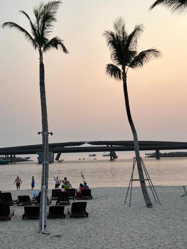 a beach with two palm trees and people on the beach at Oscar Seaview Apartment in Phu Quoc