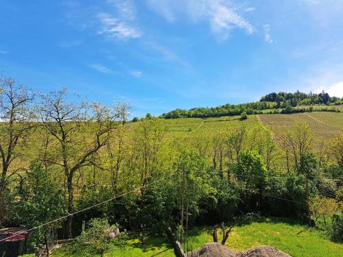 a view of a hill with trees and a field at Casa Ninì - Holidays in Oltrepo in Torrazza Coste