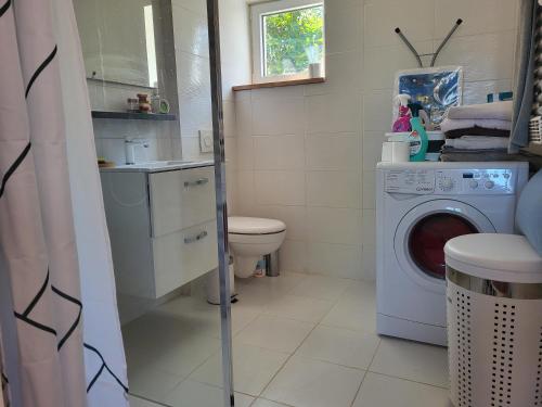 a bathroom with a washing machine and a toilet at blu dragonfly in Saint-Aubin-sur-Loire