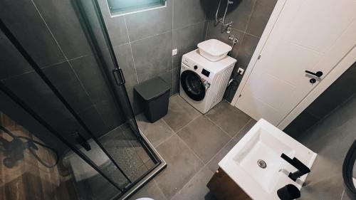 a bathroom with a shower and a toilet and a sink at Forest Fox in Žabljak