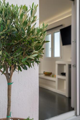 a tree in a room with a living room at Avra Milos in Zefiría