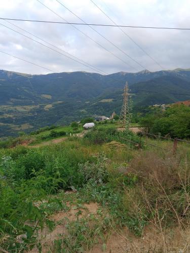 a view of a hill with mountains in the background at Ksenya B&B in Tatʼev
