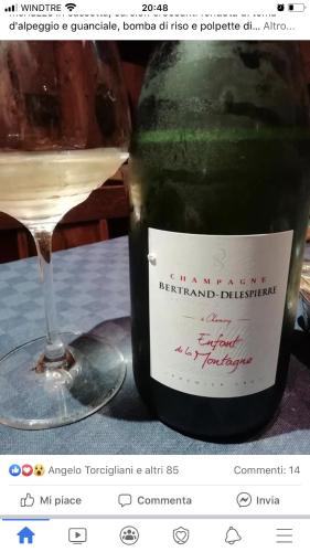 a picture of a bottle of wine and a glass at Villa Orsini - A Retreat in Pisa - Food and Relax in Pisa