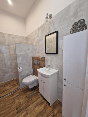 a bathroom with a toilet and a sink and a mirror at Apartamenty Zakonne "Apartament Wielkiego Mistrza" in Malbork