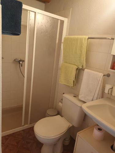 une salle de bain avec toilettes, lavabo et douche dans l'établissement Gîtes de la Verne, à Beaurepaire