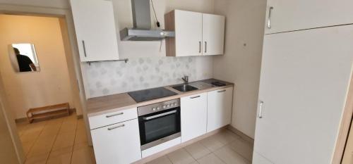 Kuchyň nebo kuchyňský kout v ubytování Vienna Danube Garden Apartment 22