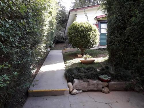 een hond op de grond in een tuin bij Pousada Florada na Serra - Apto 5 in Campos do Jordão