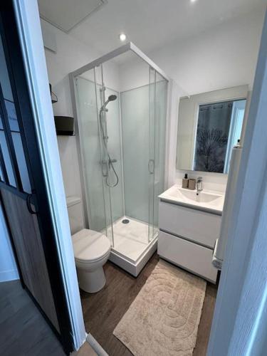 une salle de bain avec une douche, des toilettes et un lavabo dans l'établissement La Belle brise, à Granville