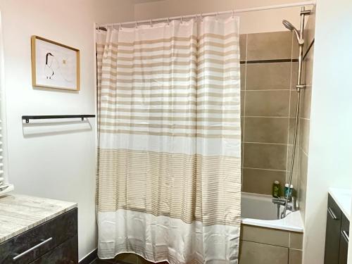 a bathroom with a shower with a shower curtain at Charmant appart près du métro et aux portes de Paris in Saint-Ouen