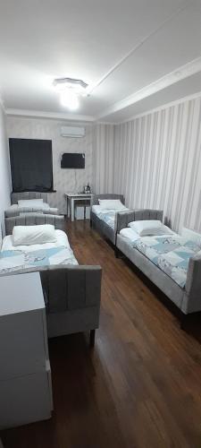 a room with two beds and a tv on the wall at Delfin Hotel & Restaurants & Spa in Ganja