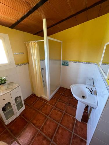 a bathroom with a white sink and a shower at Villa Toliso in Alora