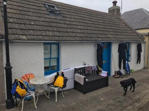 a dog standing next to a house with a table and chairs at 105 Seatown in Cullen