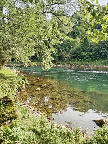 a river with green water and trees on the side at Apartmani Kajkut in Banja Luka
