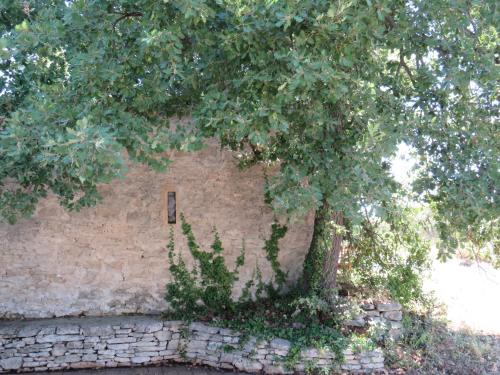 a tree next to a brick wall with a tree at Maison face au Luberon avec piscine privée - 3 Chambres in Cabrières-dʼAvignon