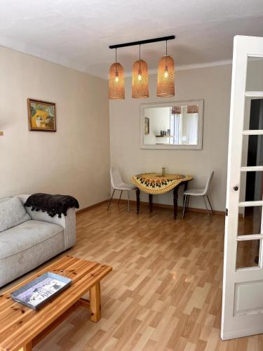un salon avec un canapé et une table dans l'établissement Appartement vue sur le Rhône, à Arles