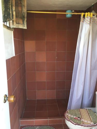 a bathroom with a shower with a toilet at Posada Turistica Altamisal in Firavitoba