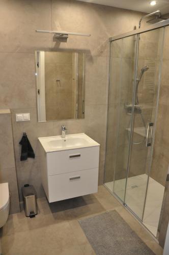 a bathroom with a sink and a glass shower at Jantar Resort Apartament in Jantar