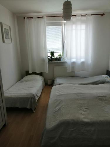 two twin beds in a room with a window at EMMA in Nová Lesná