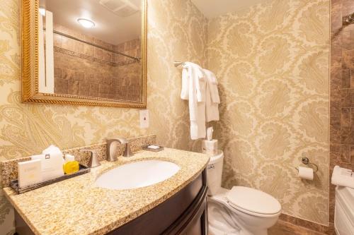 a bathroom with a sink and a toilet at Red Coach Inn in Niagara Falls