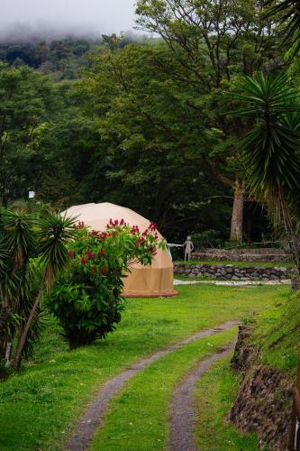 Aed väljaspool majutusasutust Pura Vista Glamping