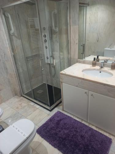a bathroom with a shower and a toilet and a sink at Eixo Atlântico in Bragança