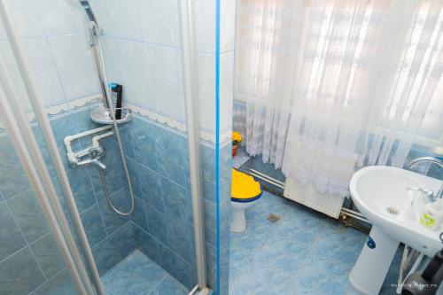 a bathroom with a shower and a toilet and a sink at La Mosie in Horezu