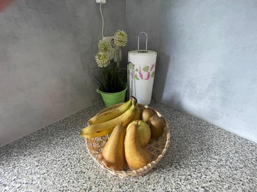 別荘の敷地内または近くでの食事または食べ物