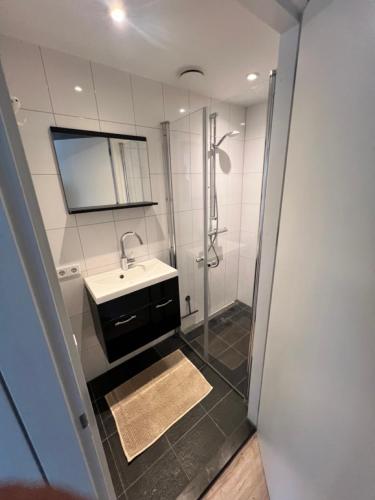 a bathroom with a shower and a sink and a mirror at Appartement Plein 1944 in Nijmegen
