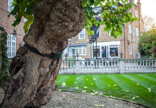 a trunk of a tree in front of a building at Warren Lodge in Shepperton